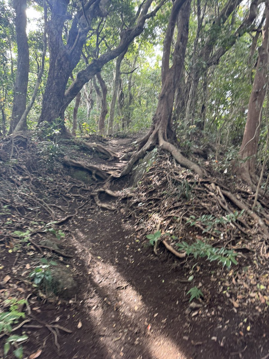 TG_solocamper's tweet photo. 久しぶりの登山⛰️
絶景みれて満足✨ https://t.co/H8Qhsuv1Jf