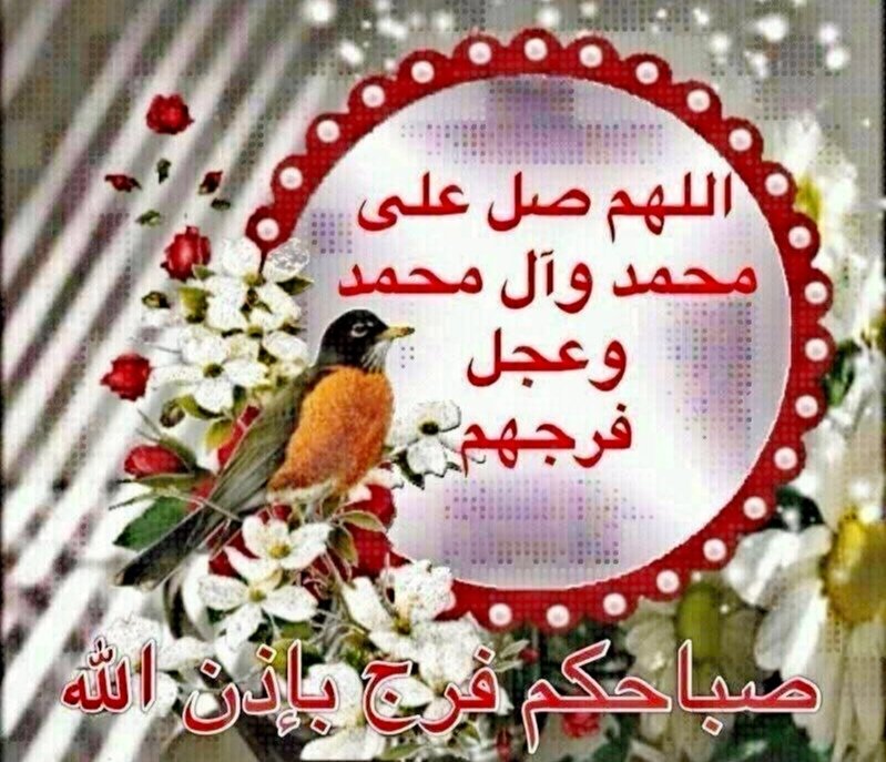 القلب الطيب ابو احمد tweet media