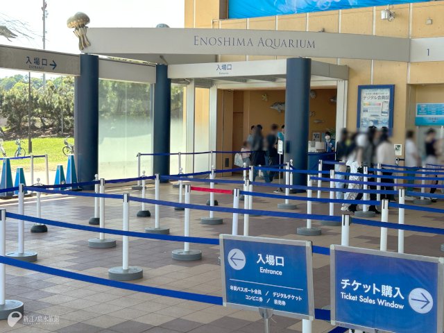 新江ノ島水族館 tweet media