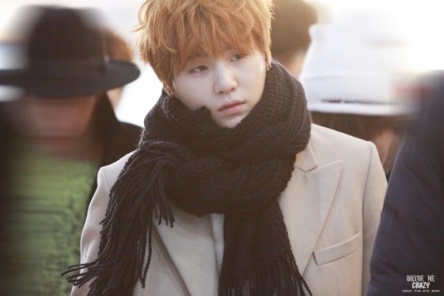 풍순이 tweet media