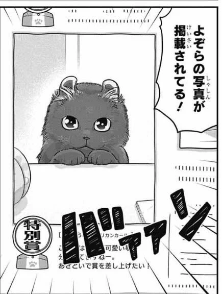 発売中のジャンプSQ.6月号に「カワイスギクライシス」載せてもらってます。

よぞらの写真が「にゃんこライフ」に掲載された!
喜び極まるリザはさらなる野望を…
そして編集部がリザのもとへ…!

楽しんでもらえたら嬉しいです
よろしくお願いします! 