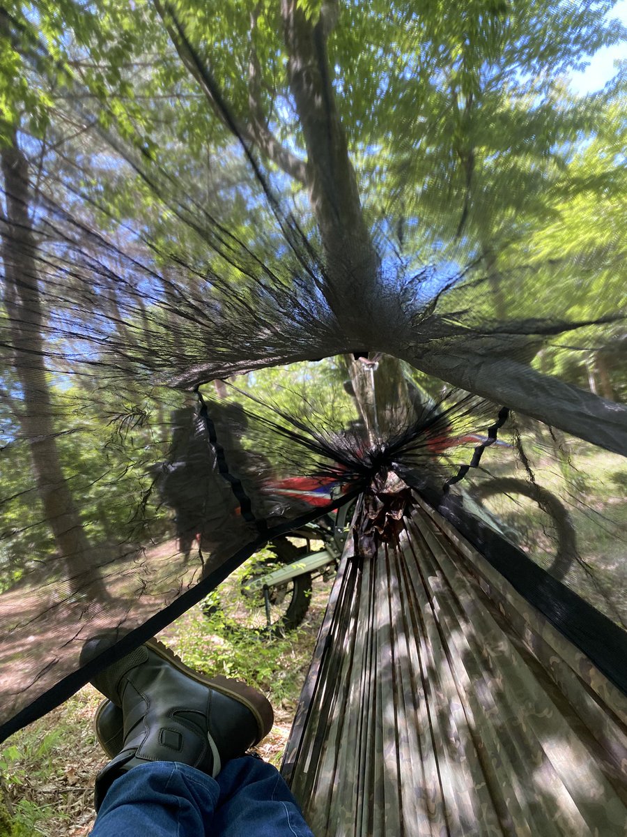 sigesoto's tweet photo. 三、四年ぶりにハンモック泊✨

#DDHAMMOCKS https://t.co/cN2KYRxZfK