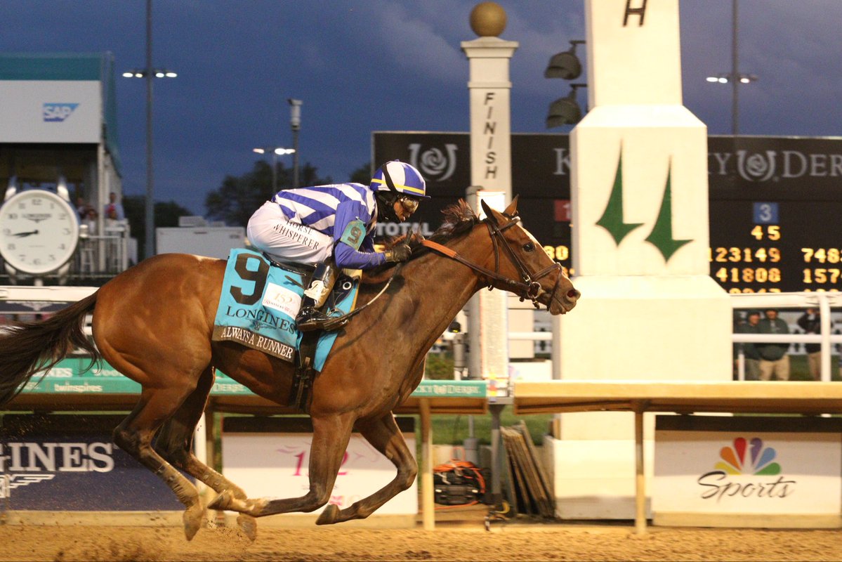 Thoroughbred Aftercare Alliance tweet media