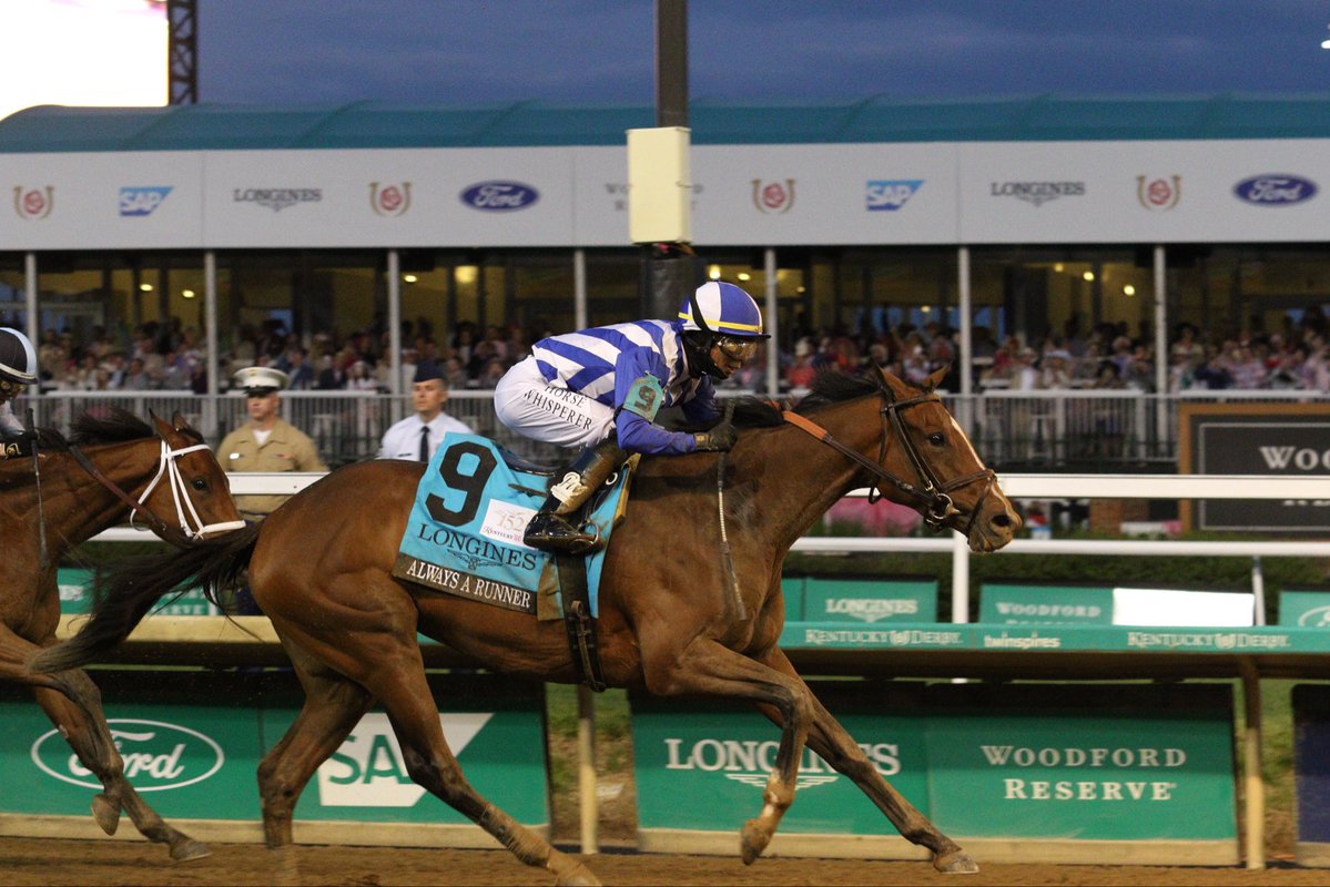 Thoroughbred Aftercare Alliance tweet media