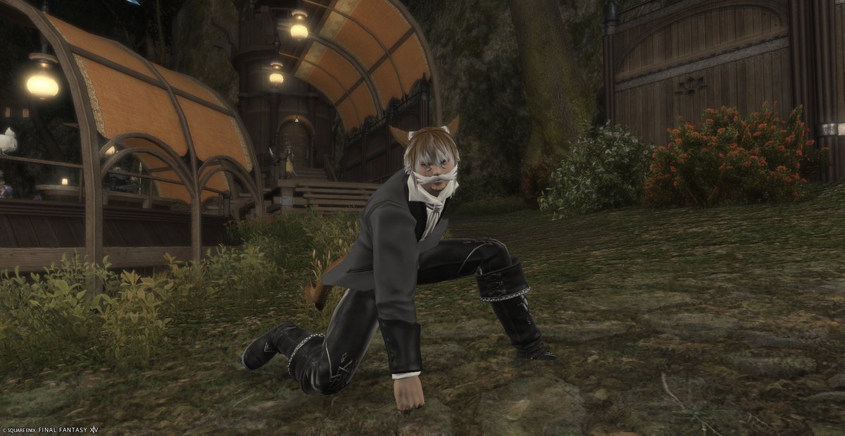 TheBearAmongMen's tweet photo. @AstrallAstrid How do you feel about Australian friends? (who is on Primal) :3 And not if i put you in a hole first!.......... or drop you while healing.... or shirk you! :P https://t.co/EwMbDFT9dY