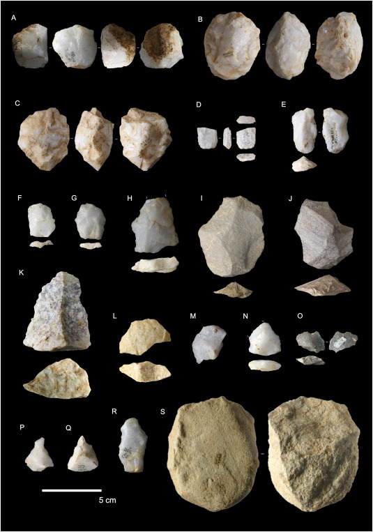 PaleoAnthropology tweet media