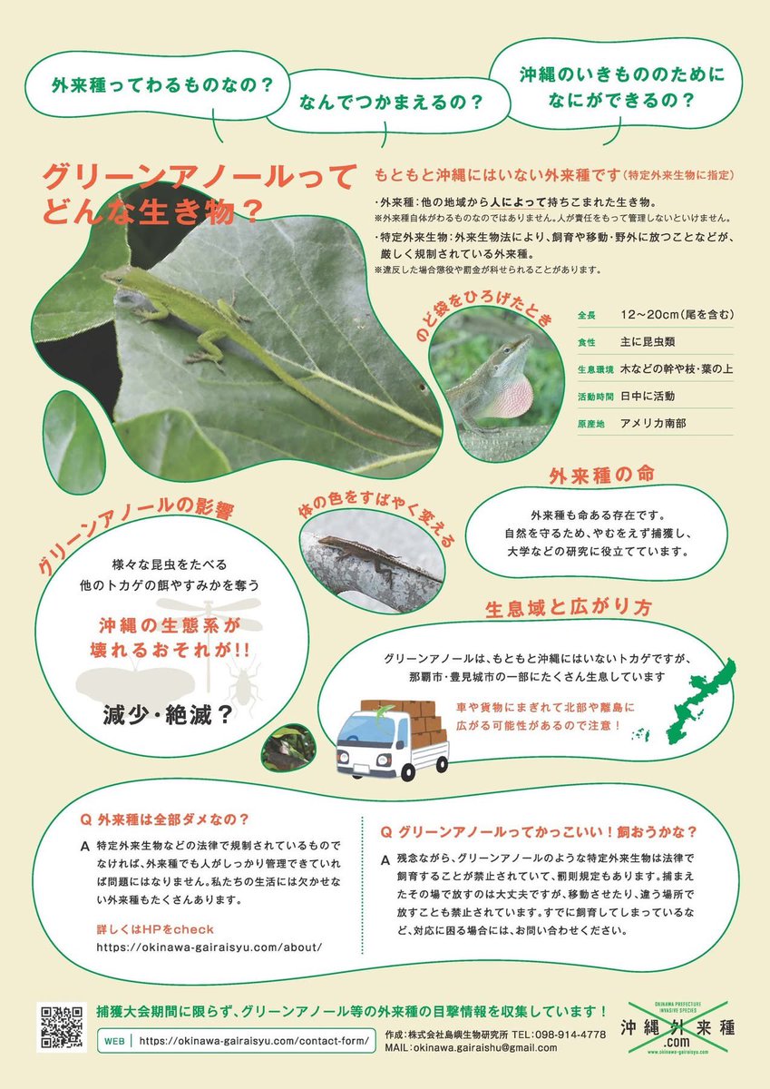 直翅類.jp【公式】 tweet media