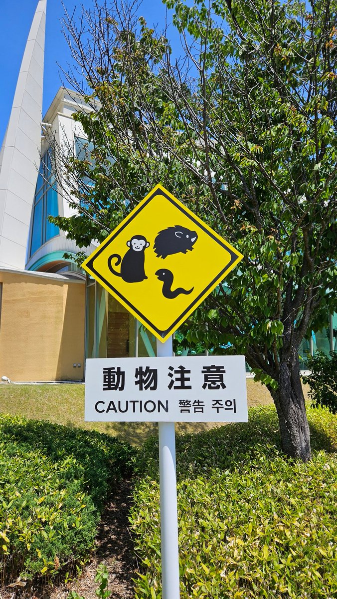 かわいい