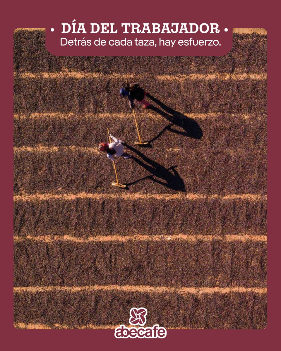 ABECAFE_'s tweet photo. ☕🤎 Cada taza es resultado de trabajo constante, dedicación y compromiso en cada etapa del café.
Hoy reconocemos a quienes hacen posible que el café salvadoreño siga avanzando. https://t.co/4pdglWFcg6