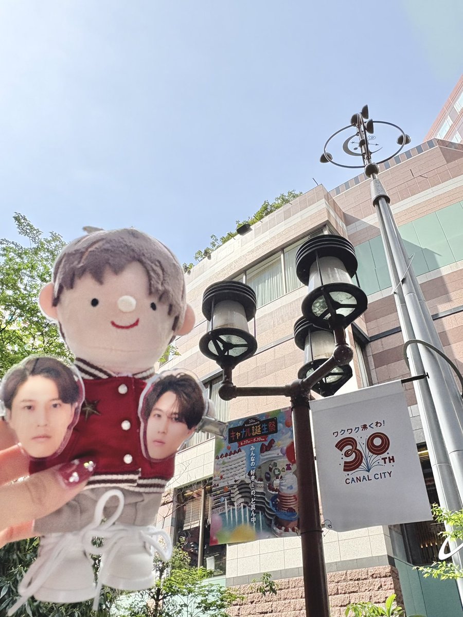 しほ tweet media