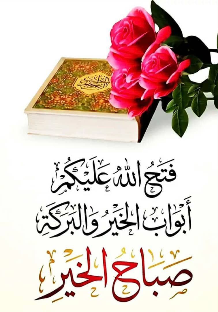 مشير mosheer 🌹🌴🌹 tweet media