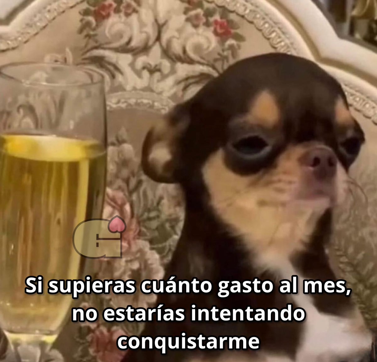 El Guarromántico tweet media