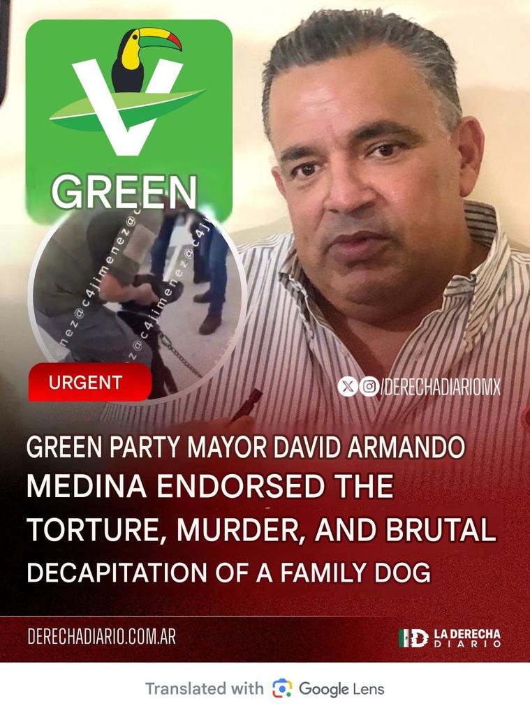 PhaedraXTeddy's tweet image. Dog tied to pole was patiently waiting for his owner was hangged by city workers for barking at kids bothering him in #Mexico 🇲🇽. "Green' Party mayor defends what his workers did and they returned the dog to owner in a black plastic bag.