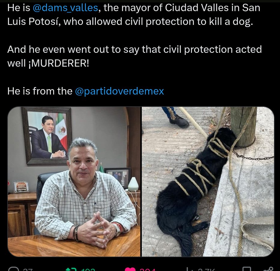 PhaedraXTeddy's tweet image. Dog tied to pole was patiently waiting for his owner was hangged by city workers for barking at kids bothering him in #Mexico 🇲🇽. "Green' Party mayor defends what his workers did and they returned the dog to owner in a black plastic bag.