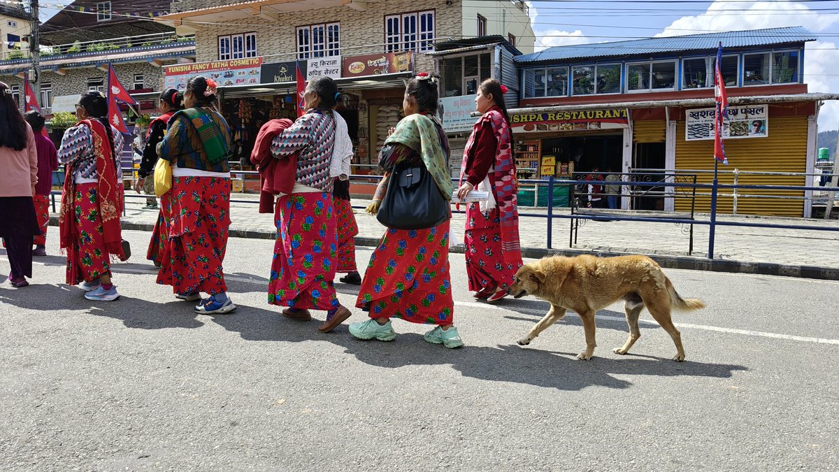 日々のネパール情報🇳🇵 tweet media