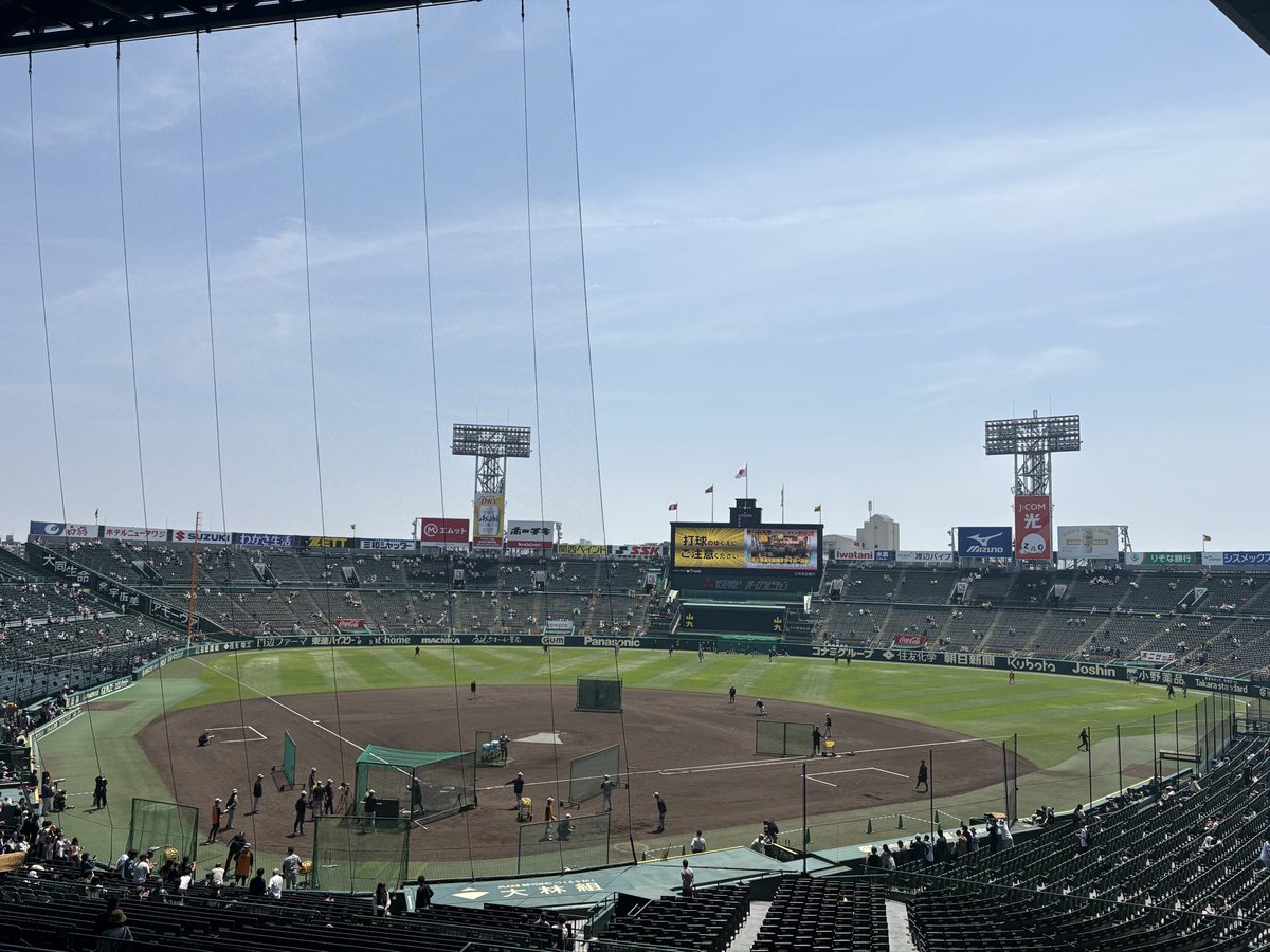 【ドラチケ研究所】 tweet media