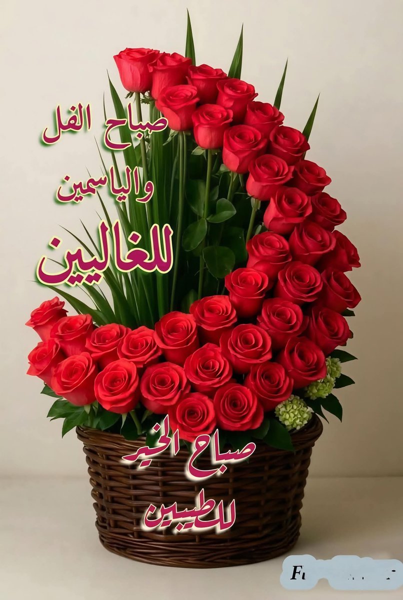 Osman Deif tweet media