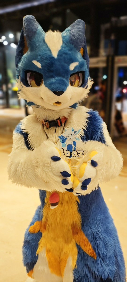 Baoz🐋Hi-Furry 5/1 tweet media
