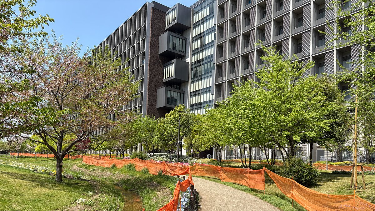 DaisukeKanemoto's tweet photo. 東京理科大学に着任して1か月。
授業・研究室活動も少しずつ動き始めました。
教材動画も作成中です。準備が整い次第、公開していきます。
兼本研の学生さんとともに、「省エネ技術で未来を創る」研究を進めています⚡️
応援よろしくお願いいたします!
#理科大
#兼本研
#センシング
#LSI
#IoT https://t.co/QFQC2FIJCu