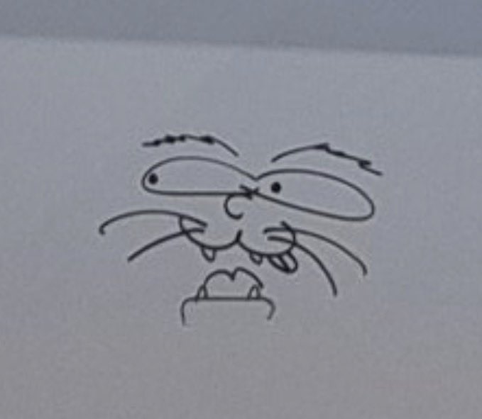 the alien hamster and cat¿? drawings han did at the pop-up