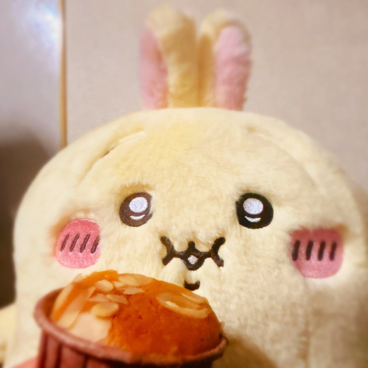 おもちかじる tweet media