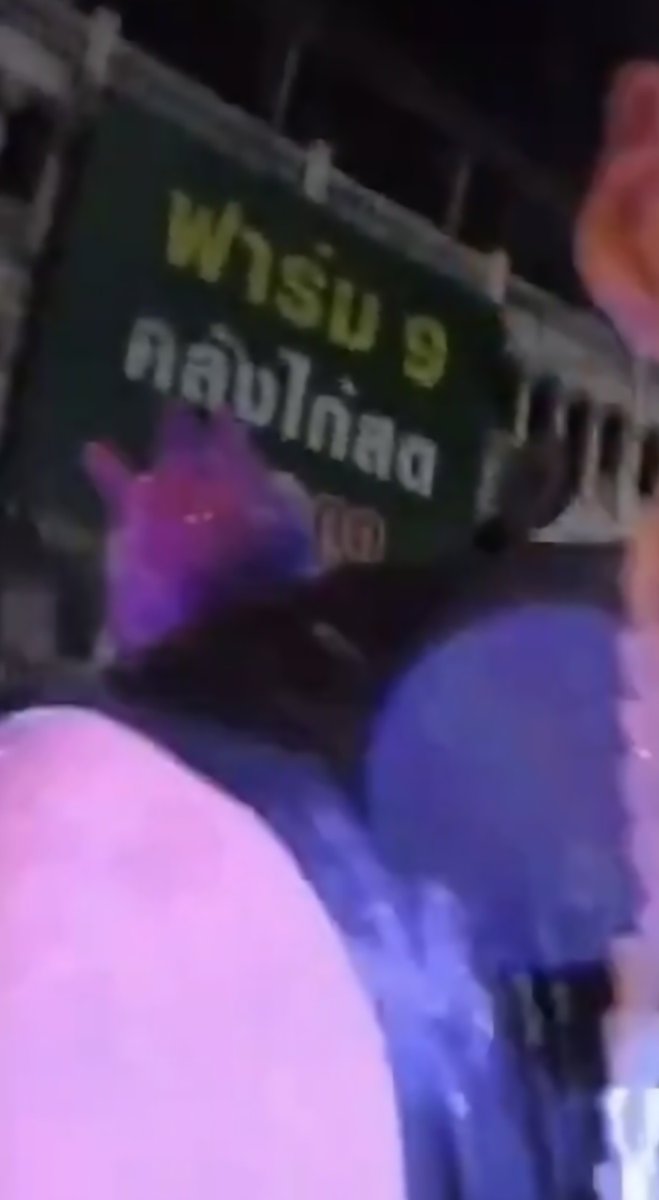อ๊า..ตำรวจ..ไม่อยากดู... tweet media