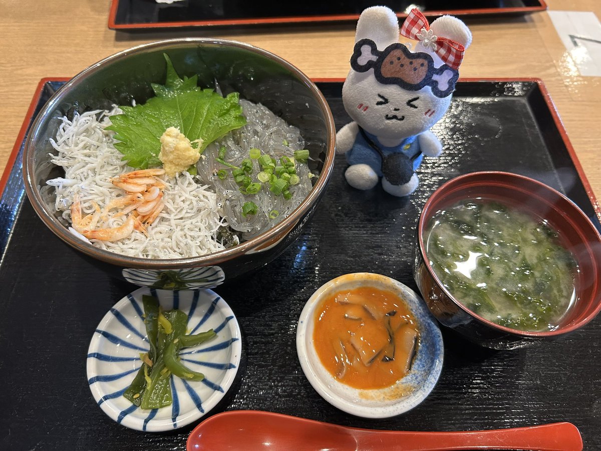 なお🍖🎹(なおちゃんわんこ🐶) tweet media