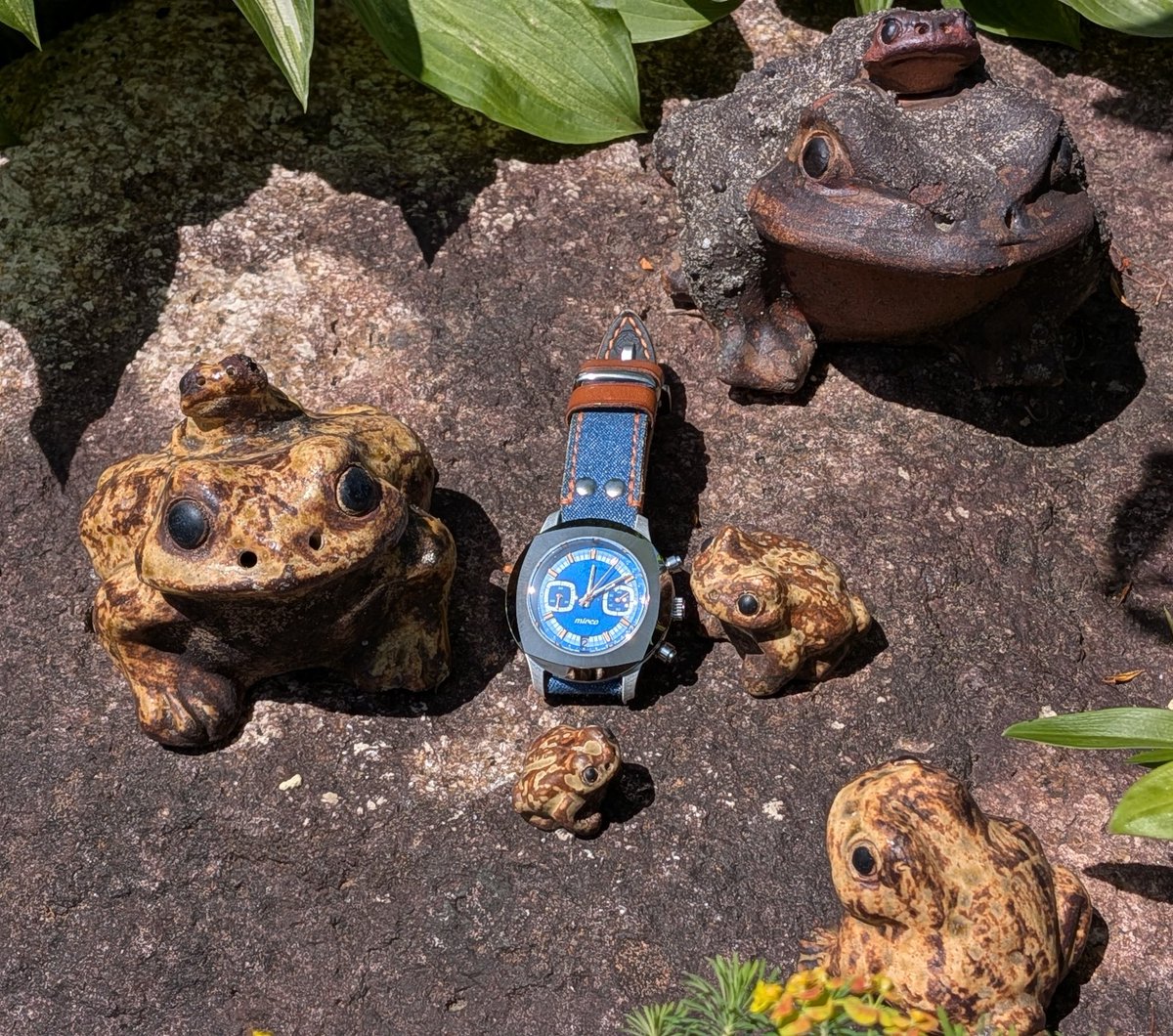 aotokaitesei's tweet photo. カエル親子🐸とmircoTYPE-02⌚
#フクシマウォッチ
#mirco #TYPE02
#JapaneseGarden🌿 https://t.co/qJSeaJsPSQ