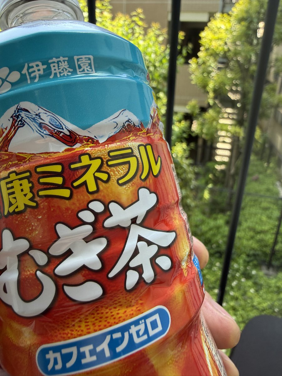 譲り先決定しました！　麦茶　１ケース２４本入り １３ケース 祭り　お祭り 暑くなってきたので 最近巷で話題の麦茶 買ってきましたよ