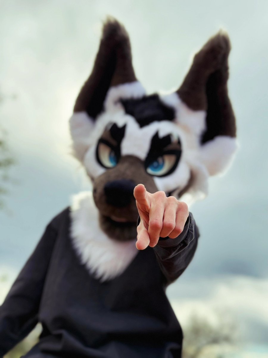 MacFuzz_'s tweet photo. i will find YOU at FWA... 🫵 https://t.co/GSXHgkSBzk