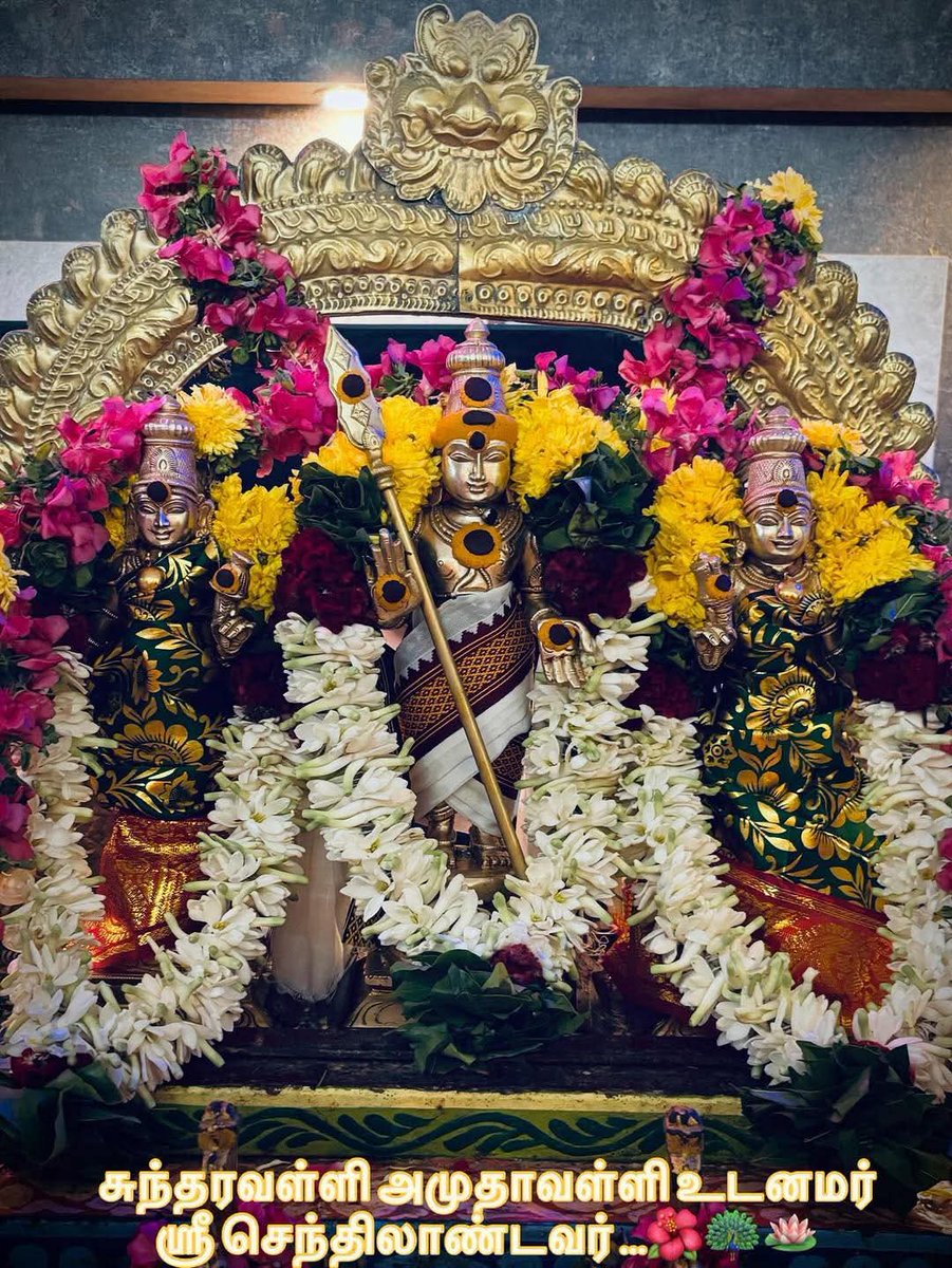 mp_karthi1's tweet photo. சனிக்கிழமை :

"கனிவாய் வள்ளி தெய்வானைக் கணவா உணர்வோர் கதிர்வேலா
முனிவாய் எனில் நான் எங்கடைவேன் முத்தா அருணை முனிக்கு அரசே
இனிவாதனையால் அடிநாயேன் என்றும் குன்றா வணம் வாழ்
சனிவாரமதில் வந்தருள்வாய் தயவார் வயலூர்ப்பதி போற்றி!"

#முருகாசரணம்
#MurugaSaranam
#tiruchendurtemple #muruga https://t.co/xwXJrJBBBz