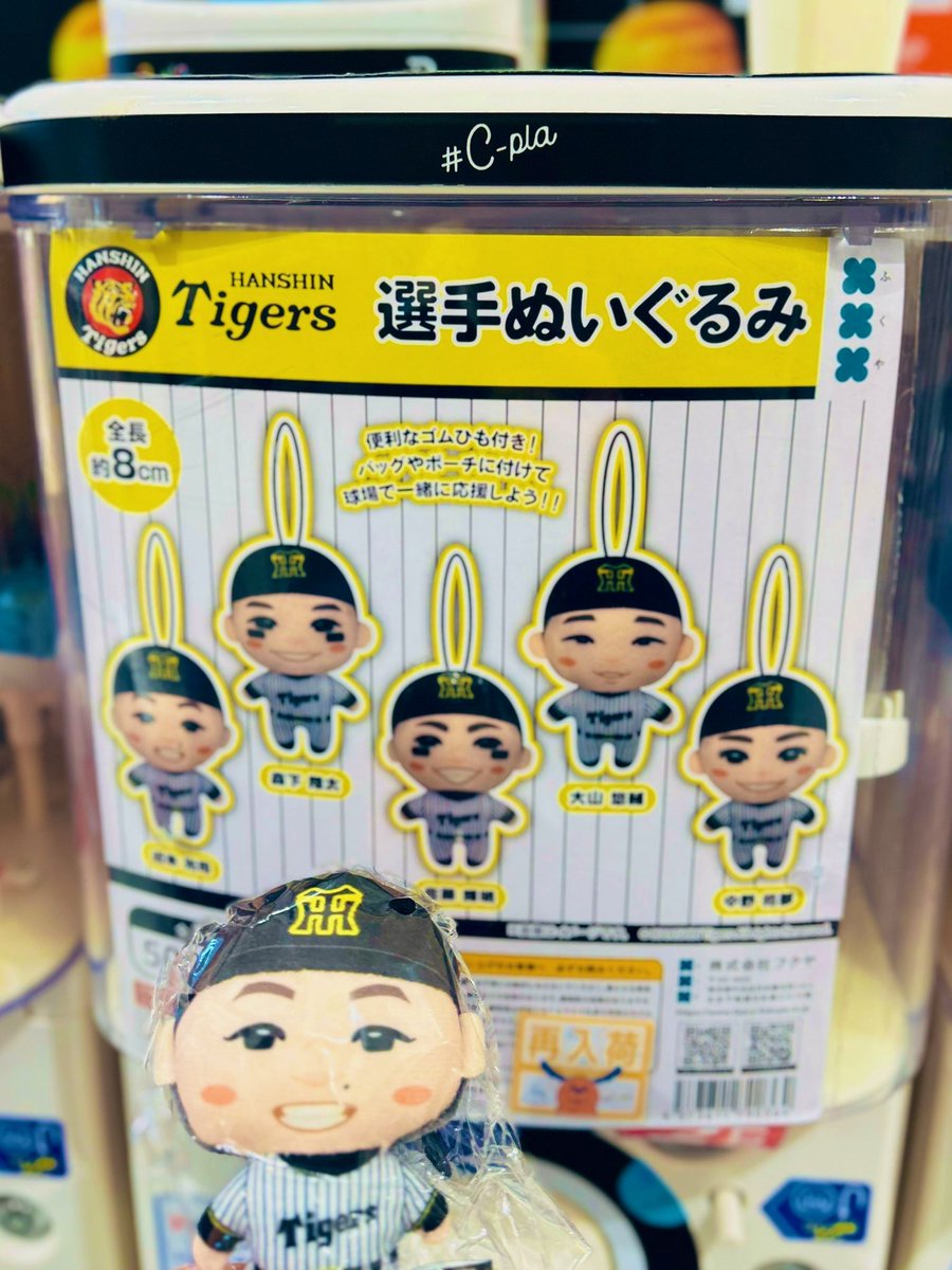 くまぴぴ tweet media