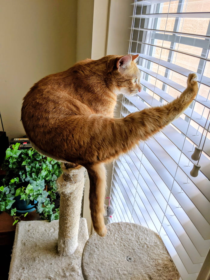 orange power yoga