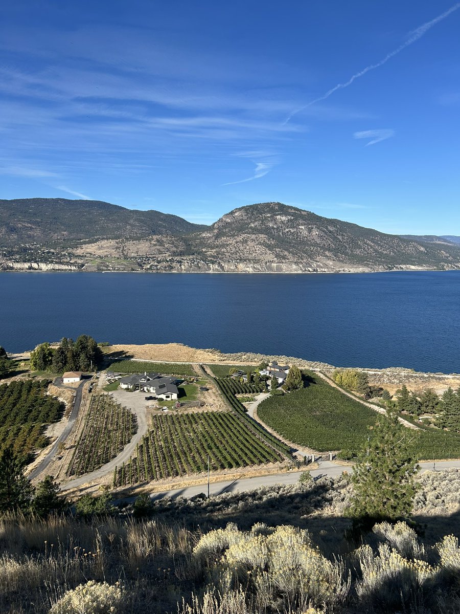 YoTheOrangedog's tweet image. Going back to the future. 

#Okanogan #Penticton #BritishColumbia