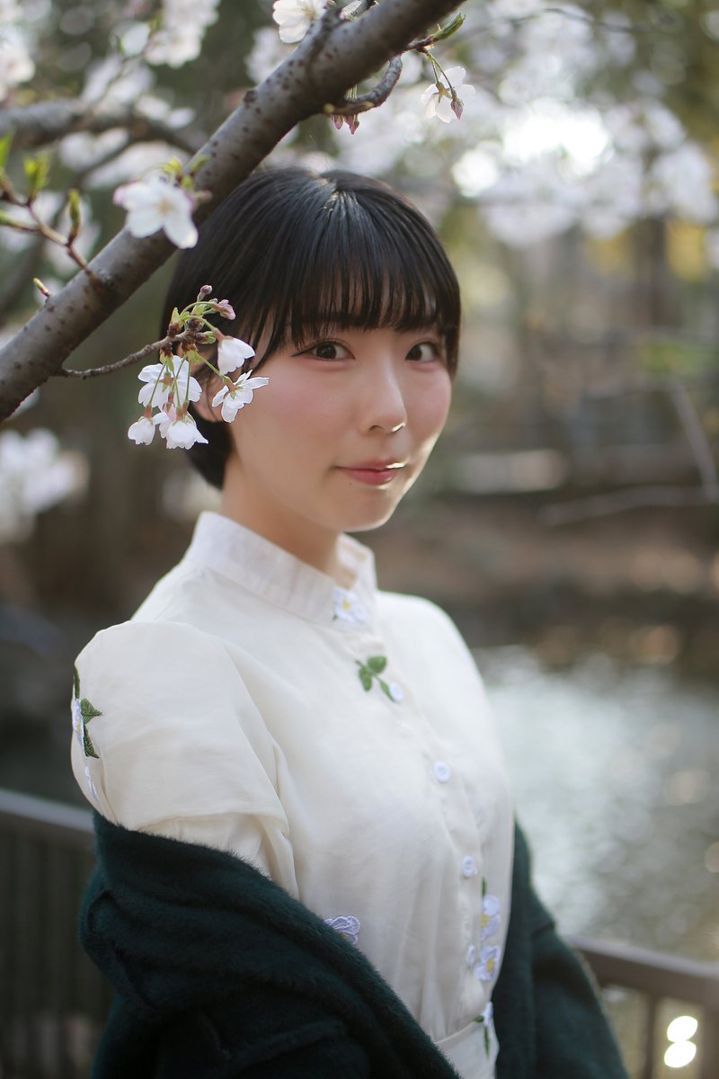 uz4530zzr's tweet image. model：花澤えりさん
@flower79_er1

#桜ポートレート
#Canon ＃TAMRON