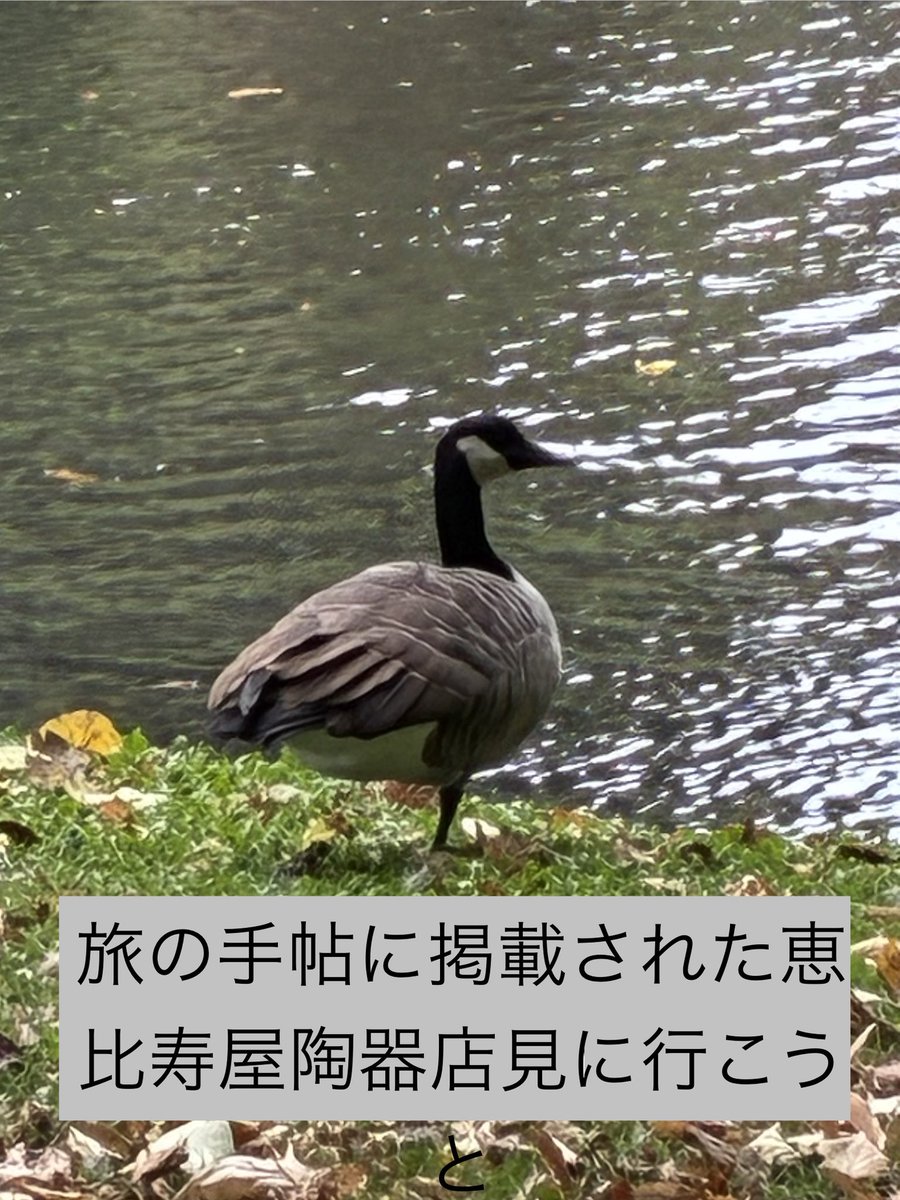 EBISUYA100's tweet photo. 旅の手帖　
5月号に掲載中 https://t.co/n8JqKwGREE