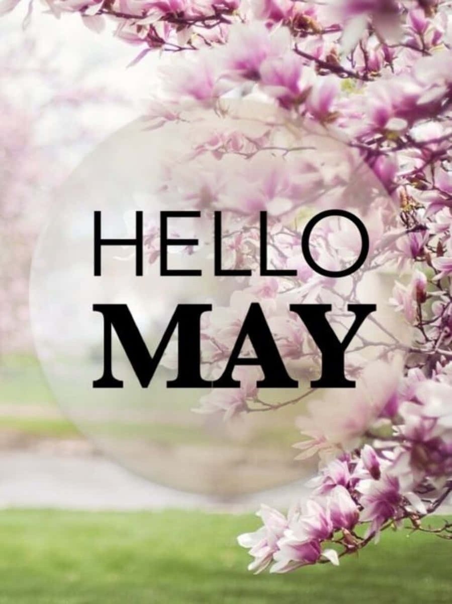 authordlawrence's tweet image. Hello May! Here's to a new month of stepping boldly into expansion, where imagination deepens and purpose shines brighter. Be BRAVE! 💜💛💜💛 #May2026 #newmonth #expansion #deepimagination #bebrave