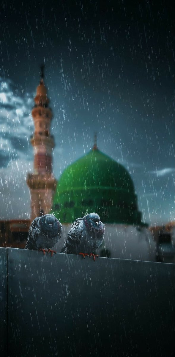 م عاصم خان tweet media