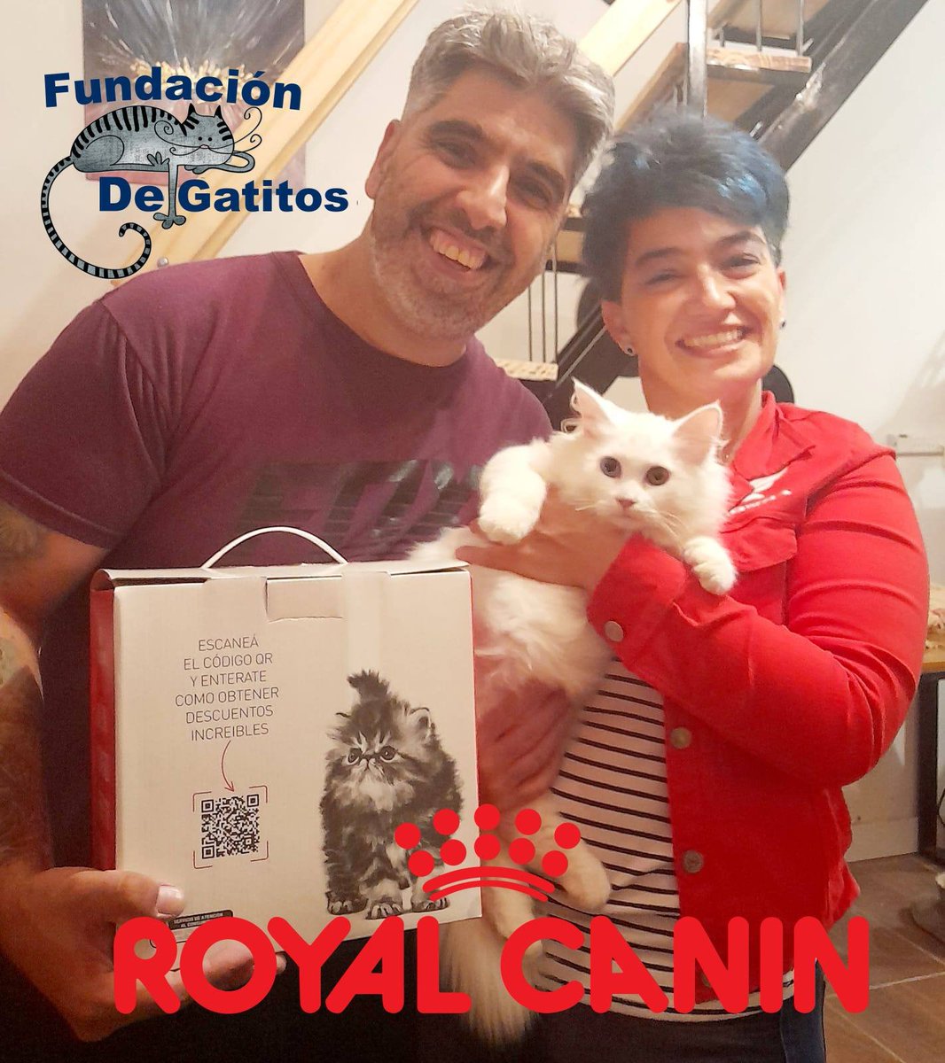 Fundación De Gatitos tweet media