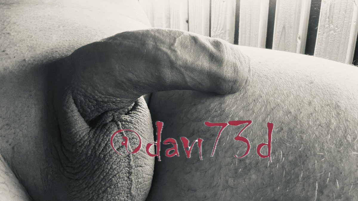 davi73d tweet media