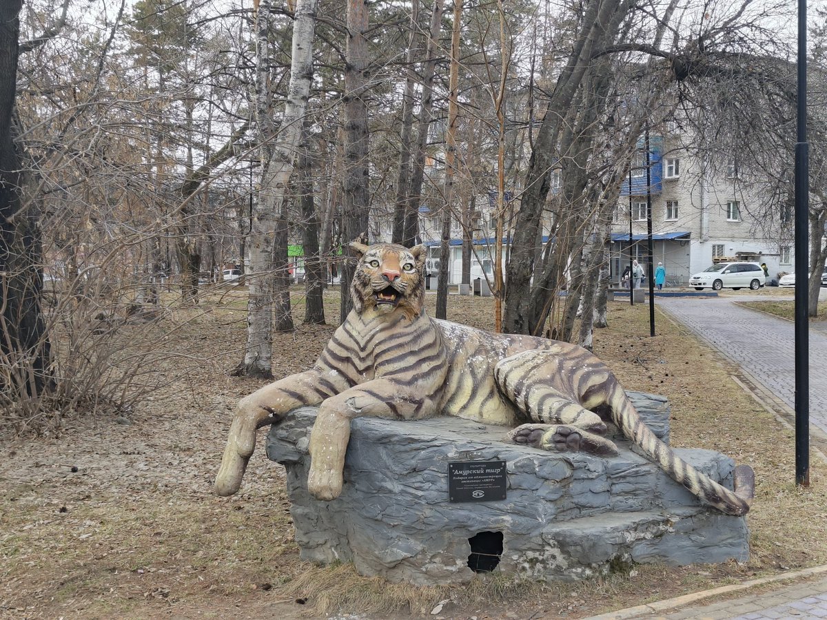 В41 tweet media