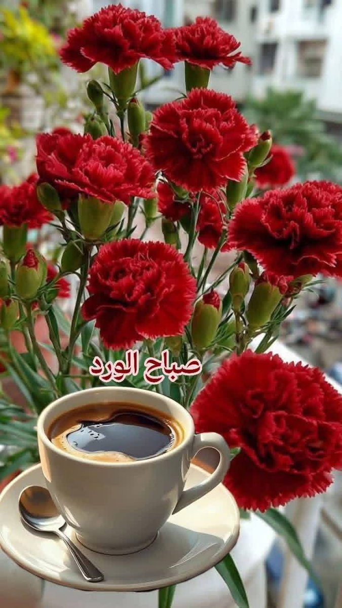 m.m.j .Ghl.ابو اليث tweet media