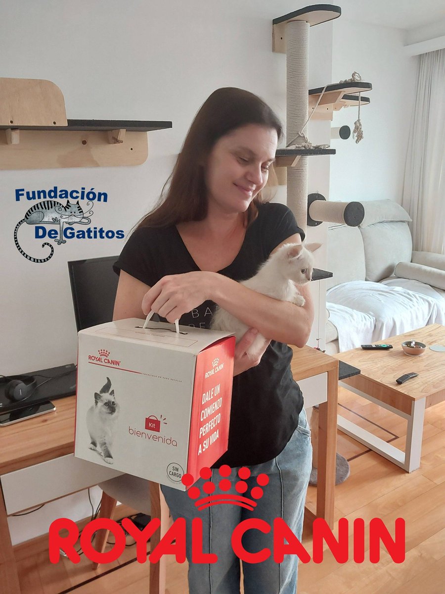 Fundación De Gatitos tweet media
