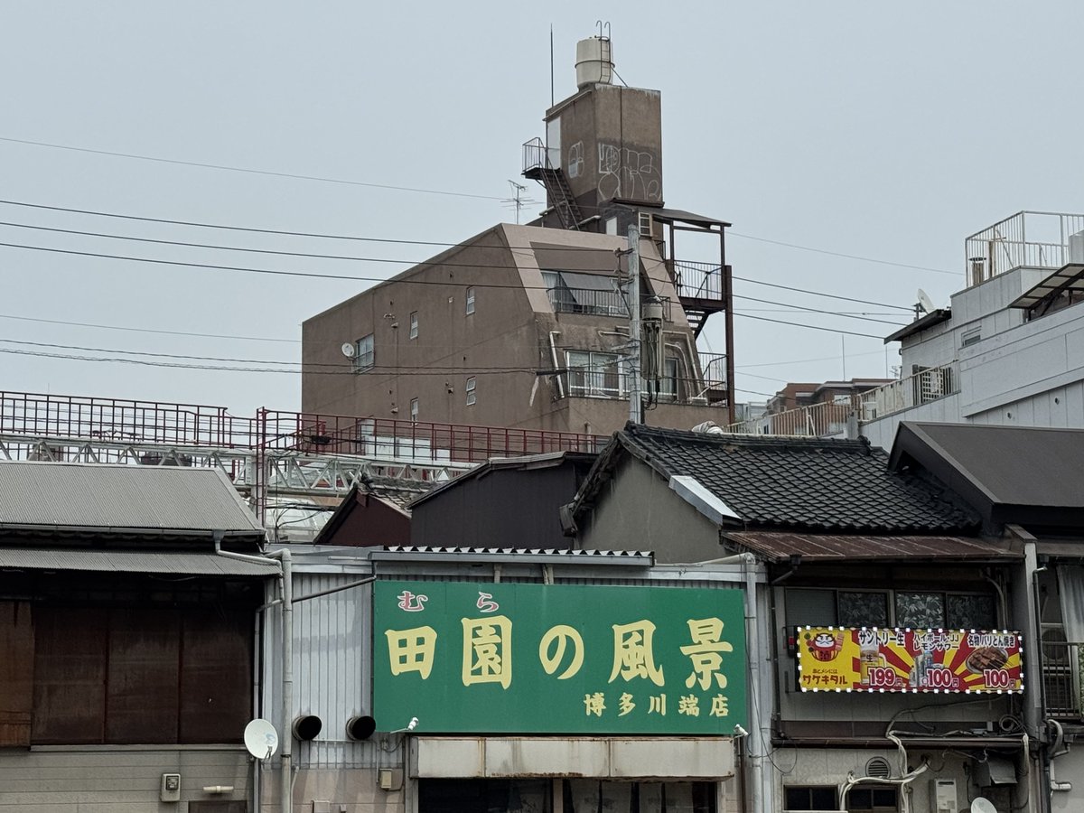 ブリてっか tweet media