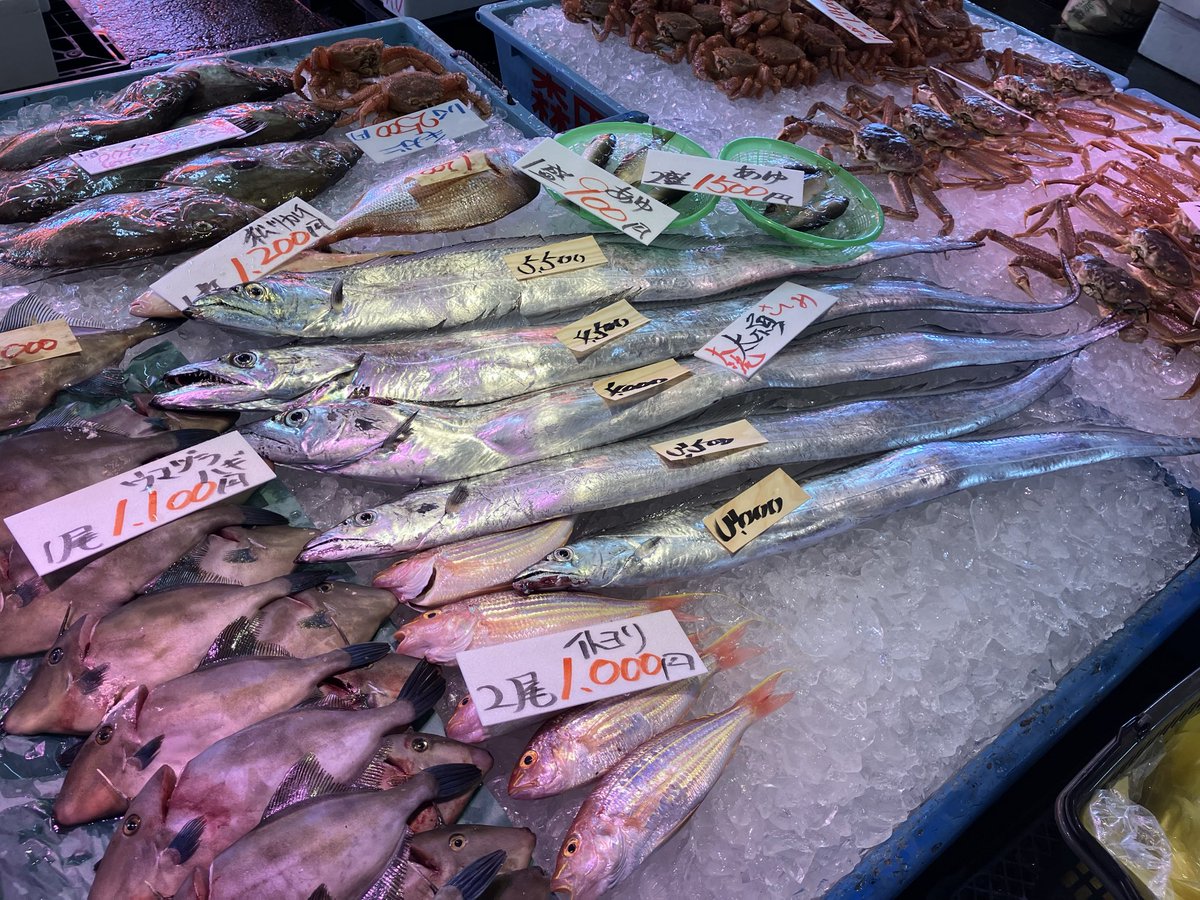 今日は那珂湊の市場を見つつ釣りをするが釣れないなど🎣🐟 