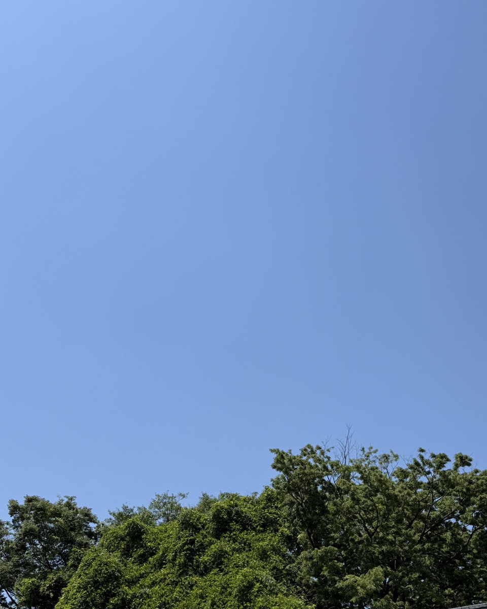 吉野真徠｜旅するアナウンサー® tweet media