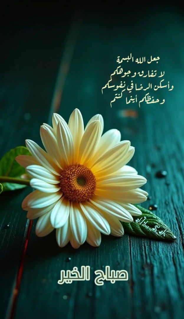 Osman Deif tweet media