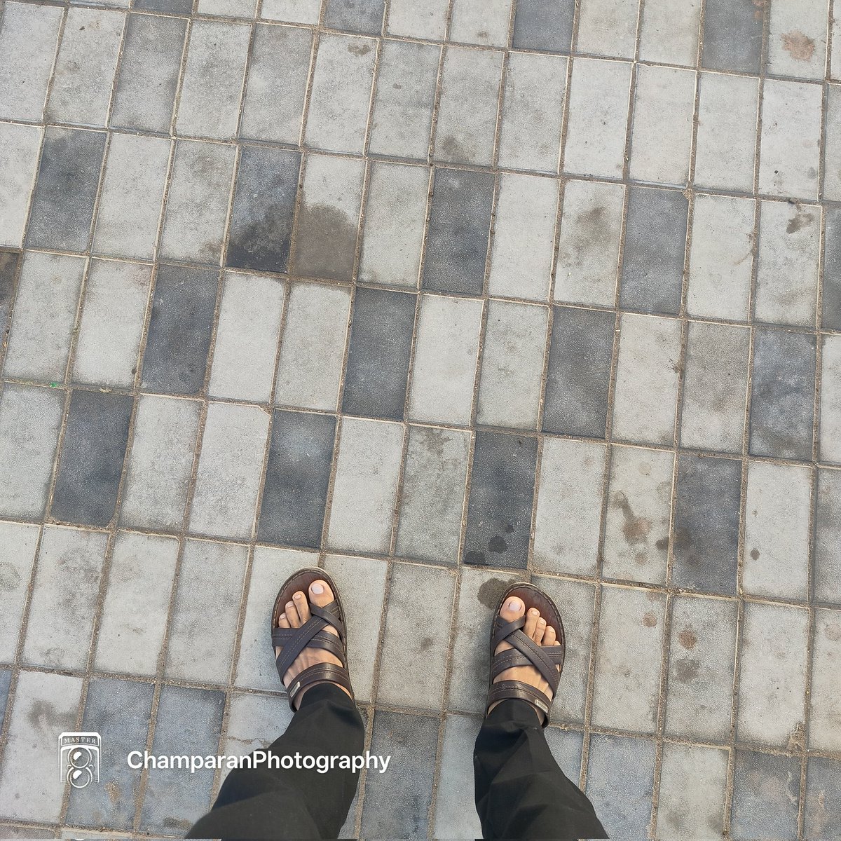 Chaste Monk tweet media