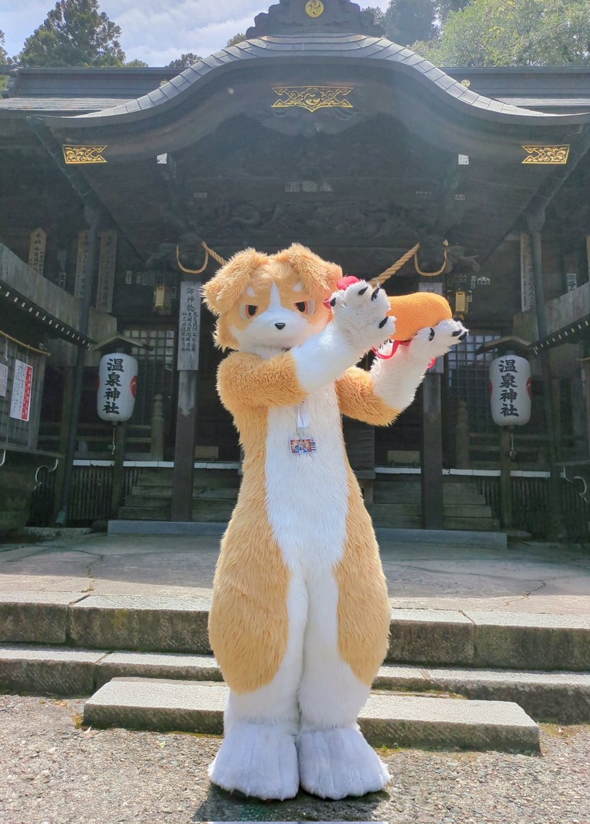urokigu's tweet photo. エビフライを奉納するほっこりぃ☺️ https://t.co/SgJGcObKTI