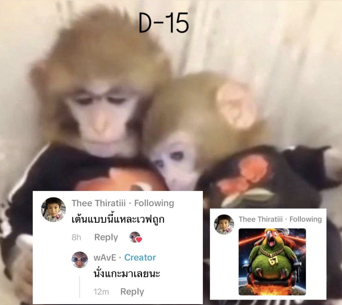 ออปอ tweet media
